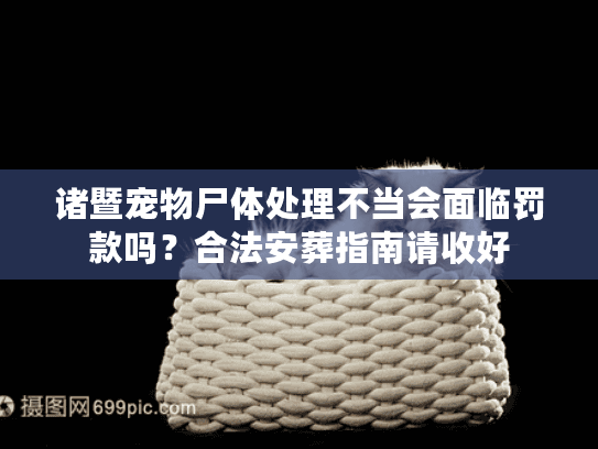 诸暨宠物尸体处理不当会面临罚款吗？合法安葬指南请收好