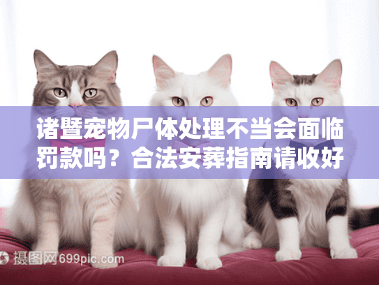 诸暨宠物尸体处理不当会面临罚款吗？合法安葬指南请收好