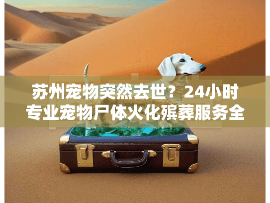 苏州宠物突然去世？24小时专业宠物尸体火化殡葬服务全解析