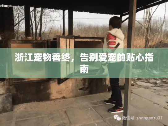 浙江宠物善终，告别爱宠的贴心指南