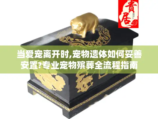 当爱宠离开时,宠物遗体如何妥善安置?专业宠物殡葬全流程指南