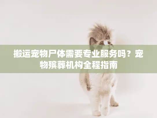 搬运宠物尸体需要专业服务吗？宠物殡葬机构全程指南