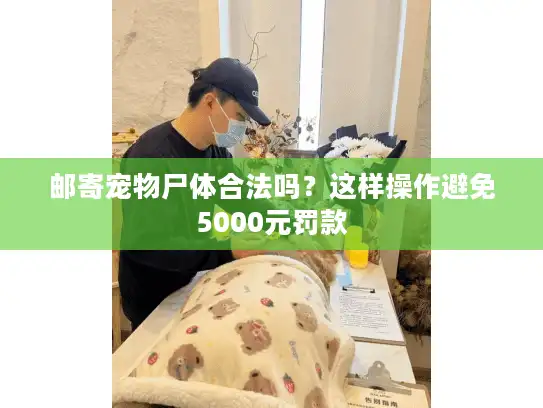 邮寄宠物尸体合法吗?这样操作避免5000元罚款 邮寄宠物尸体合法吗?这样操作避免5000元罚款