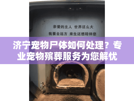 济宁宠物尸体如何处理?专业宠物殡葬服务为您解忧 济宁宠物尸体如何处理?专业宠物殡葬服务为您解忧