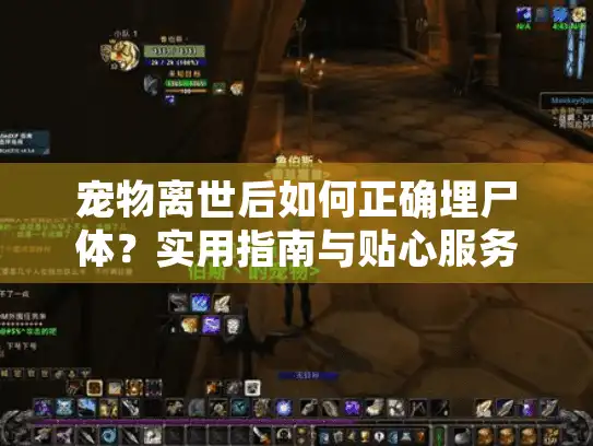 宠物离世后如何正确埋尸体？实用指南与贴心服务选择