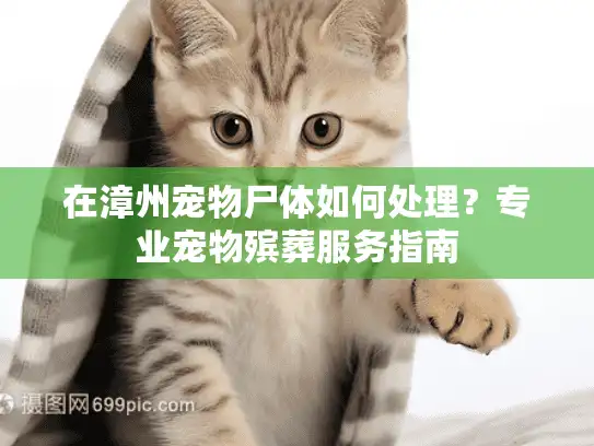 在漳州宠物尸体如何处理？专业宠物殡葬服务指南
