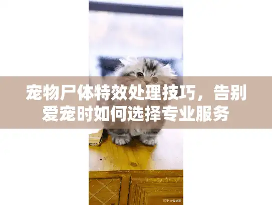 宠物尸体特效处理技巧,告别爱宠时如何选择专业服务 宠物尸体特效处理技巧,告别爱宠时如何选择专业服务