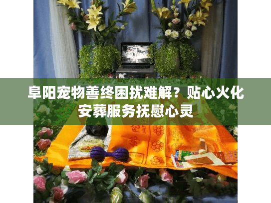阜阳宠物善终困扰难解?贴心火化安葬服务抚慰心灵 阜阳宠物善终困扰难解?贴心火化安葬服务抚慰心灵