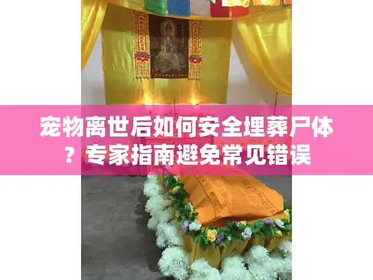 宠物离世后如何安全埋葬尸体?专家指南避免常见错误 宠物离世后如何安全埋葬尸体?专家指南避免常见错误