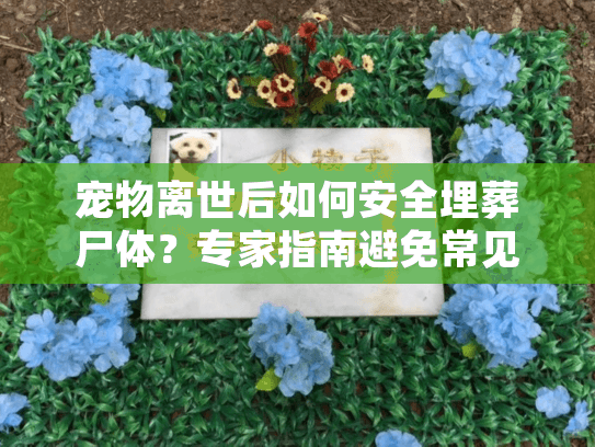 宠物离世后如何安全埋葬尸体?专家指南避免常见错误 宠物离世后如何安全埋葬尸体?专家指南避免常见错误