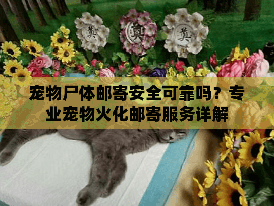 宠物尸体邮寄安全可靠吗？专业宠物火化邮寄服务详解