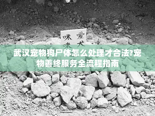 武汉宠物狗尸体怎么处理才合法?宠物善终服务全流程指南 武汉宠物狗尸体怎么处理才合法?宠物善终服务全流程指南