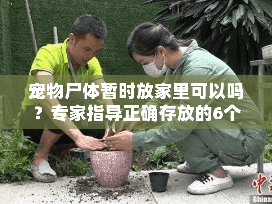 宠物尸体暂时放家里可以吗?专家指导正确存放的6个关键点 宠物尸体暂时放家里可以吗?专家指导正确存放的6个关键点