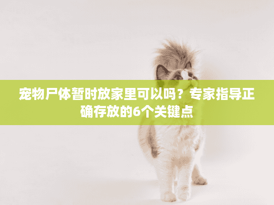 宠物尸体暂时放家里可以吗?专家指导正确存放的6个关键点 宠物尸体暂时放家里可以吗?专家指导正确存放的6个关键点