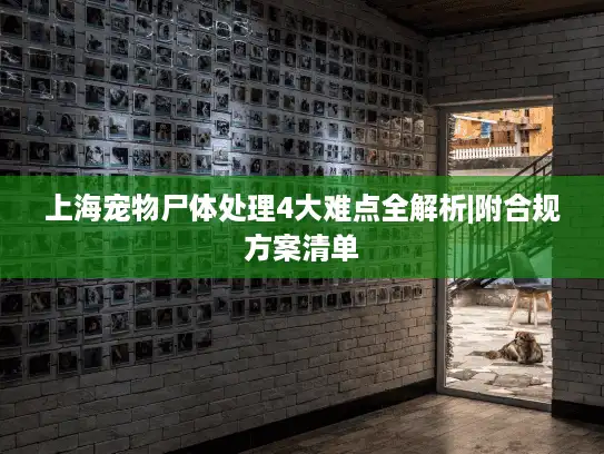 上海宠物尸体处理4大难点全解析|附合规方案清单