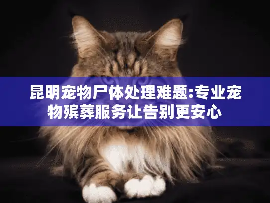 昆明宠物尸体处理难题:专业宠物殡葬服务让告别更安心 昆明宠物尸体处理难题:专业宠物殡葬服务让告别更安心