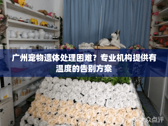 广州宠物遗体处理困难？专业机构提供有温度的告别方案