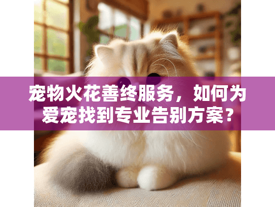 宠物火花善终服务,如何为爱宠找到专业告别方案? 宠物火花善终服务,如何为爱宠找到专业告别方案?