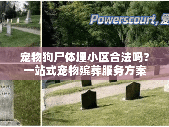 宠物狗尸体埋小区合法吗？一站式宠物殡葬服务方案
