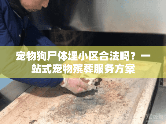 宠物狗尸体埋小区合法吗？一站式宠物殡葬服务方案