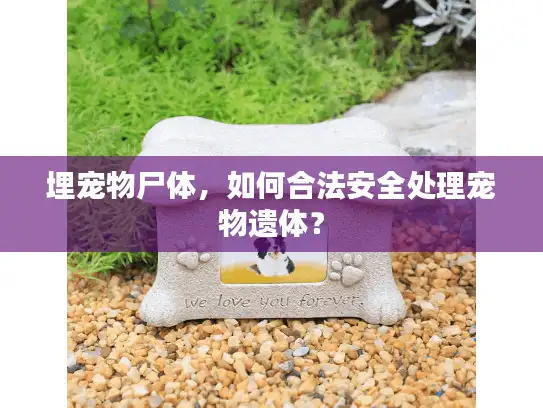埋宠物尸体，如何合法安全处理宠物遗体？
