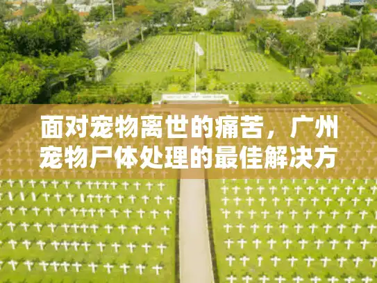 面对宠物离世的痛苦,广州宠物尸体处理的最佳解决方案? 面对宠物离世的痛苦,广州宠物尸体处理的最佳解决方案?