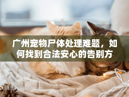 广州宠物尸体处理难题，如何找到合法安心的告别方式