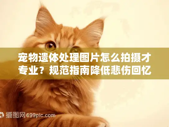 宠物遗体处理图片怎么拍摄才专业？规范指南降低悲伤回忆二次伤害