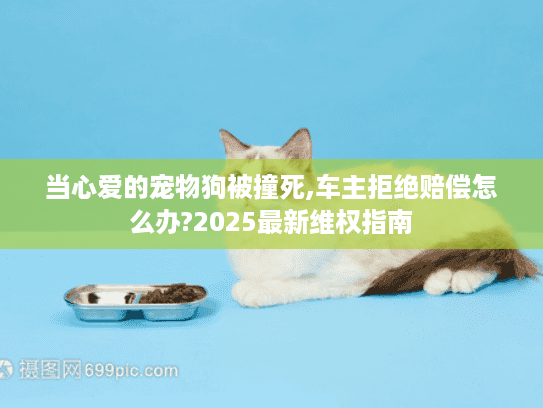 当心爱的宠物狗被撞死,车主拒绝赔偿怎么办?2025最新维权指南 当心爱的宠物狗被撞死,车主拒绝赔偿怎么办?2025最新维权指南