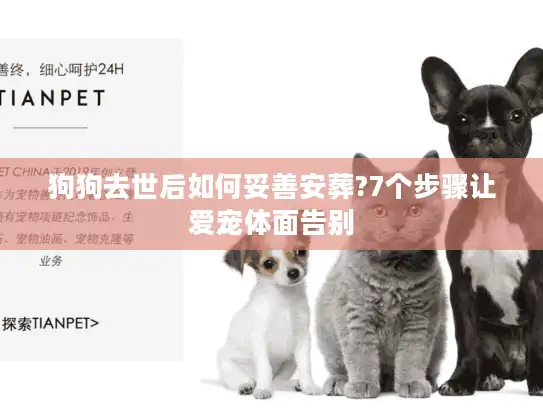 狗狗去世后如何妥善安葬?7个步骤让爱宠体面告别