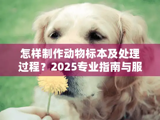 怎样制作动物标本及处理过程?2025专业指南与服务选择攻略 怎样制作动物标本及处理过程?2025专业指南与服务选择攻略