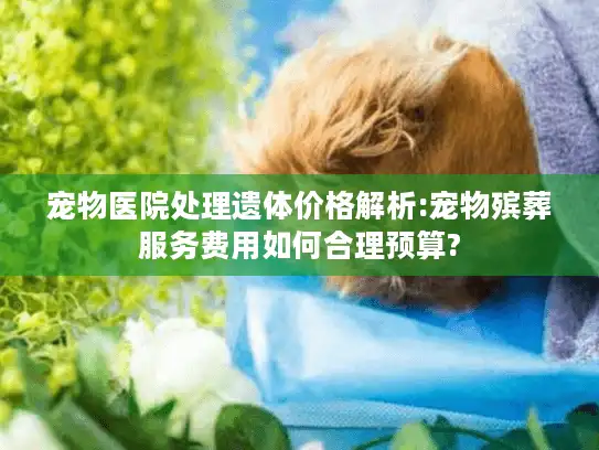宠物医院处理遗体价格解析:宠物殡葬服务费用如何合理预算?