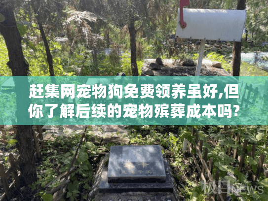 赶集网宠物狗免费领养虽好,但你了解后续的宠物殡葬成本吗?