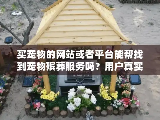 买宠物的网站或者平台能帮找到宠物殡葬服务吗?用户真实需求探索 买宠物的网站或者平台能帮找到宠物殡葬服务吗?用户真实需求探索