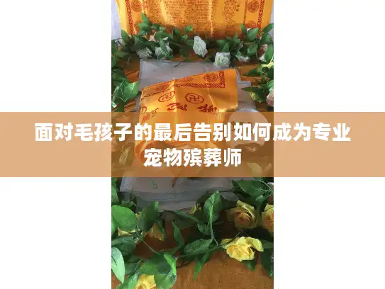 面对毛孩子的最后告别如何成为专业宠物殡葬师