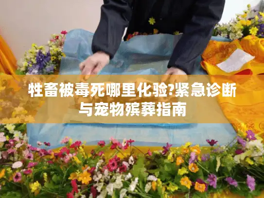 牲畜被毒死哪里化验?紧急诊断与宠物殡葬指南