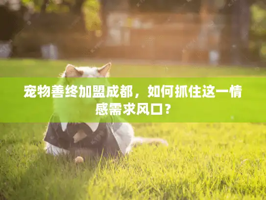 宠物善终加盟成都，如何抓住这一情感需求风口？