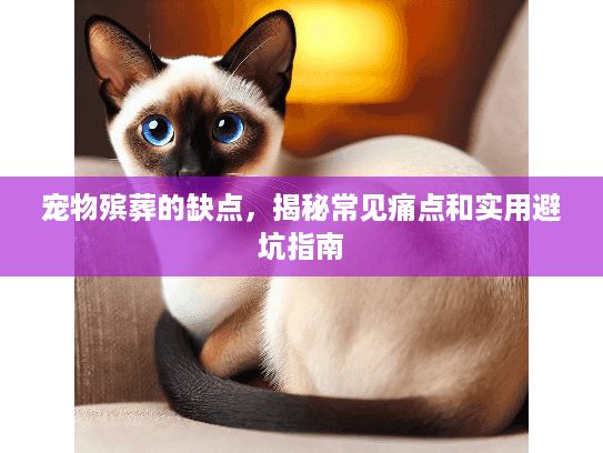 宠物殡葬的缺点,揭秘常见痛点和实用避坑指南 宠物殡葬的缺点,揭秘常见痛点和实用避坑指南