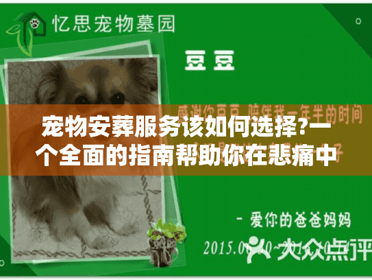 宠物安葬服务该如何选择?一个全面的指南帮助你在悲痛中行动 宠物安葬服务该如何选择?一个全面的指南帮助你在悲痛中行动