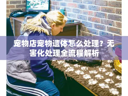 宠物店宠物遗体怎么处理？无害化处理全流程解析
