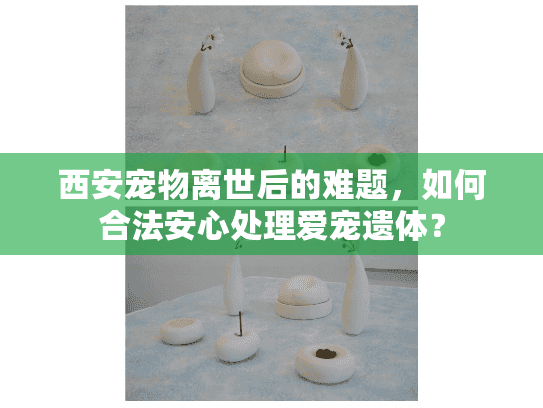 西安宠物离世后的难题，如何合法安心处理爱宠遗体？