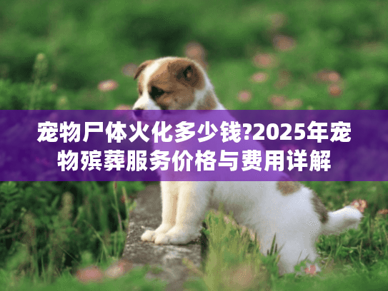 宠物尸体火化多少钱?2025年宠物殡葬服务价格与费用详解