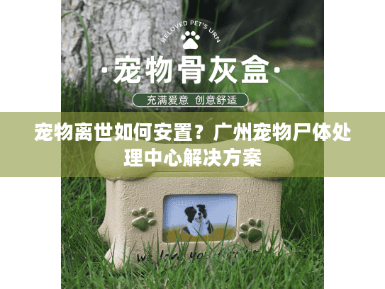 宠物离世如何安置?广州宠物尸体处理中心解决方案 宠物离世如何安置?广州宠物尸体处理中心解决方案