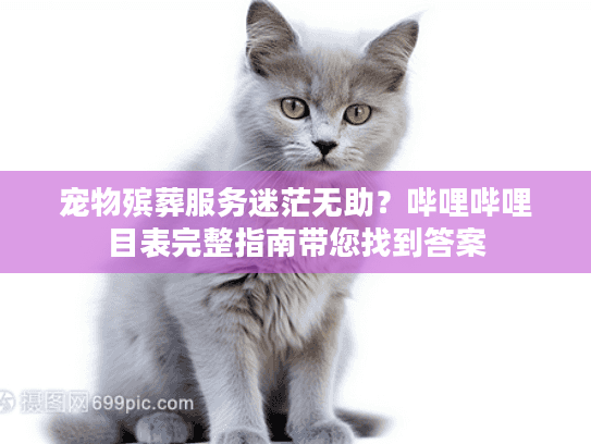 宠物殡葬服务迷茫无助?哔哩哔哩目表完整指南带您找到答案 宠物殡葬服务迷茫无助?哔哩哔哩目表完整指南带您找到答案