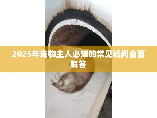 2025年宠物主人必知的常见疑问全面解答 2025年宠物主人必知的常见疑问全面解答
