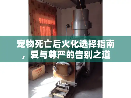 宠物死亡后火化选择指南，爱与尊严的告别之道
