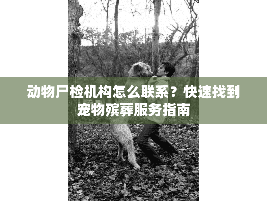 动物尸检机构怎么联系？快速找到宠物殡葬服务指南