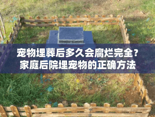 宠物埋葬后多久会腐烂完全？家庭后院埋宠物的正确方法