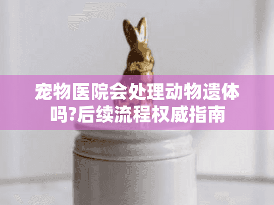 宠物医院会处理动物遗体吗?后续流程权威指南