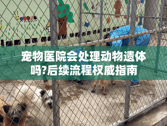 宠物医院会处理动物遗体吗?后续流程权威指南